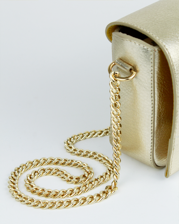 Cartera Clutch & Evening Bag DS-3093 Oro