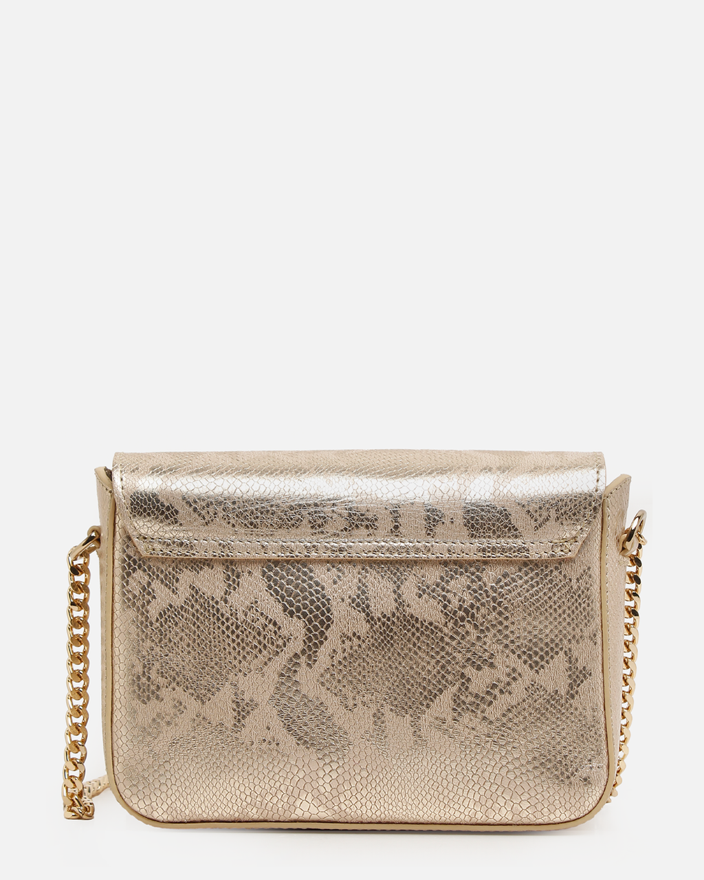 Cartera Clutch & Evening Bag DS-3093 Oro
