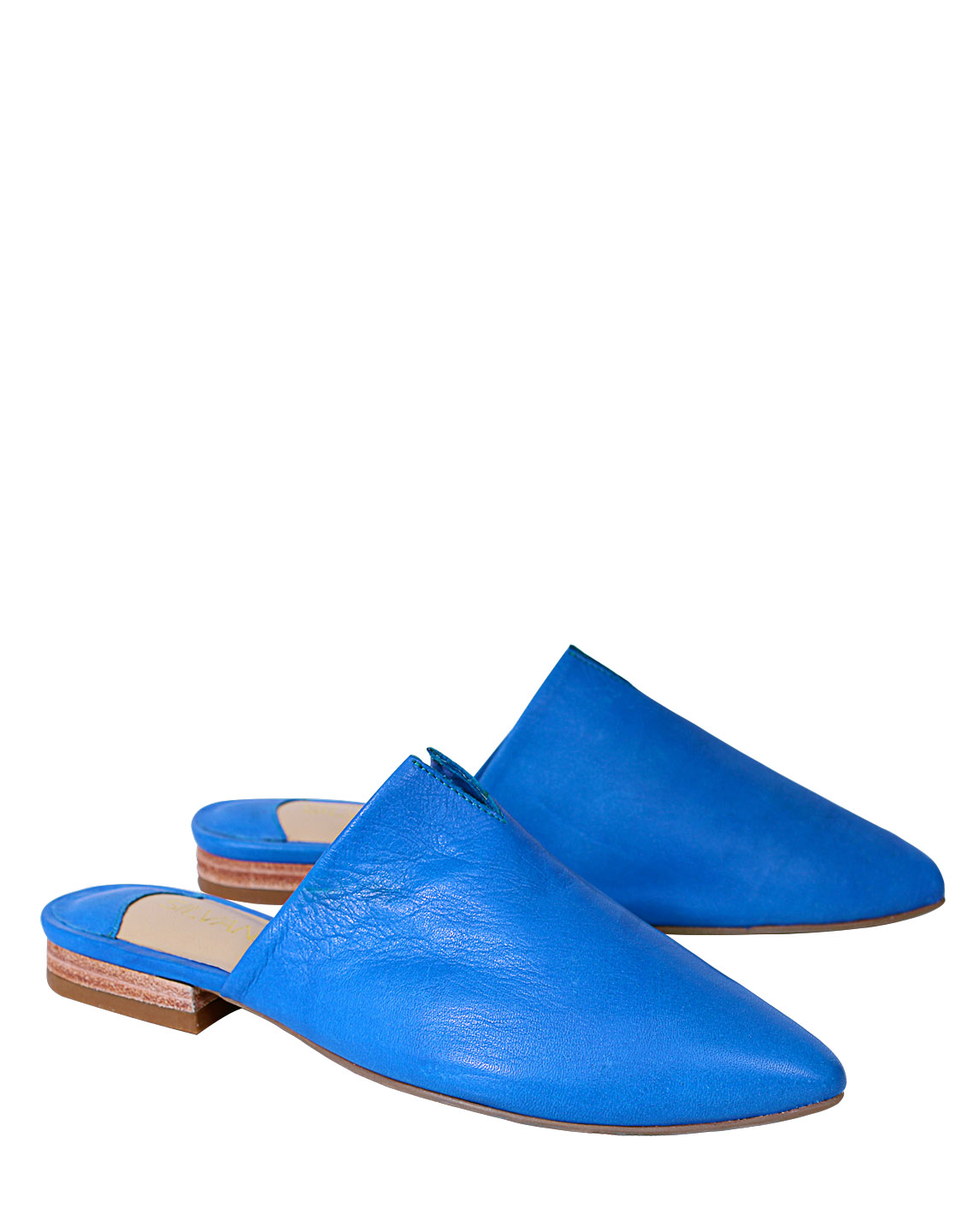 Zapato Zueco FZ-9500 Color Azul