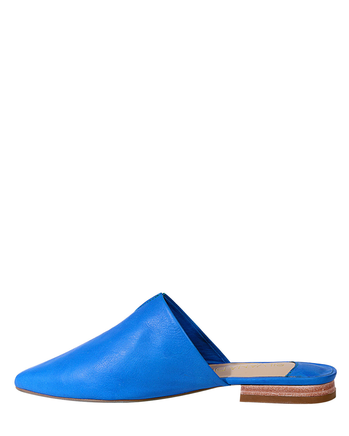 Zapato Zueco FZ-9500 Color Azul